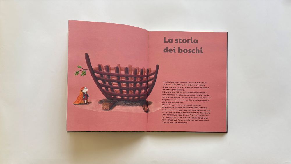 Il bosco è la nostra casa, Sara Fernández – Sonia Roig