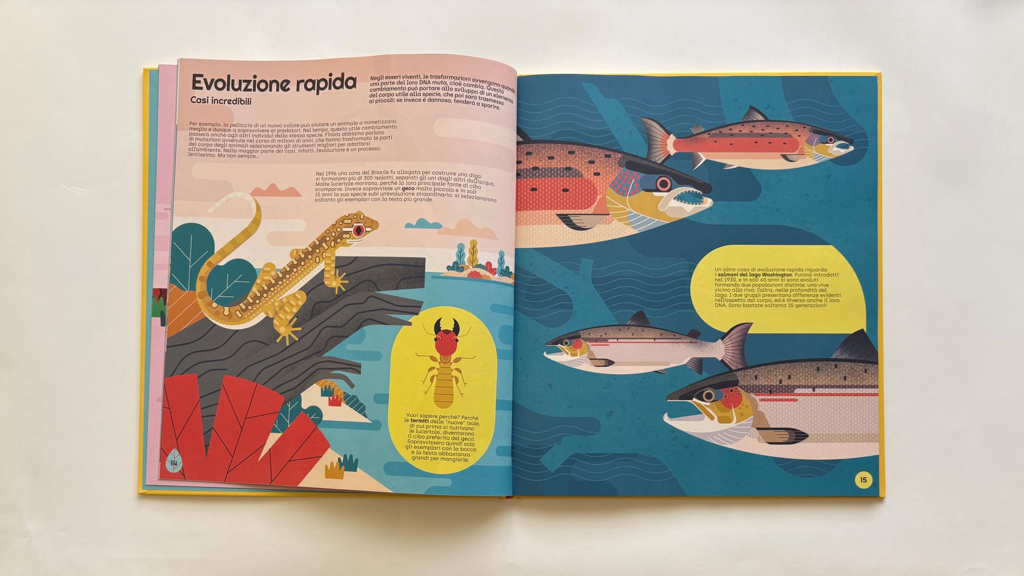 La fantastica avventura dell’evoluzione, Lucas Riera – Ángel Svoboda