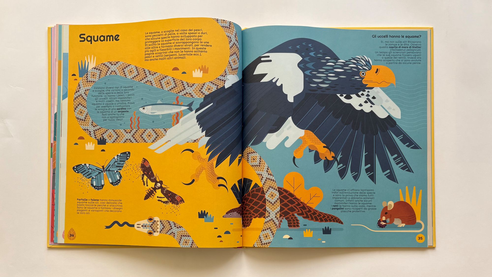 La fantastica avventura dell’evoluzione, Lucas Riera – Ángel Svoboda