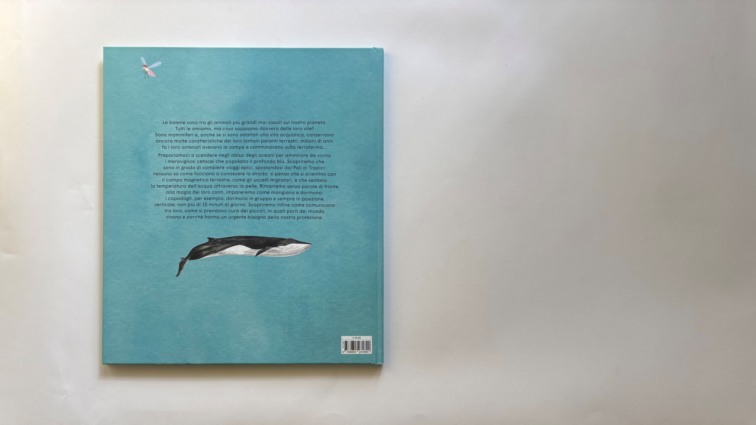 La vita segreta delle balene, Rena Ortega