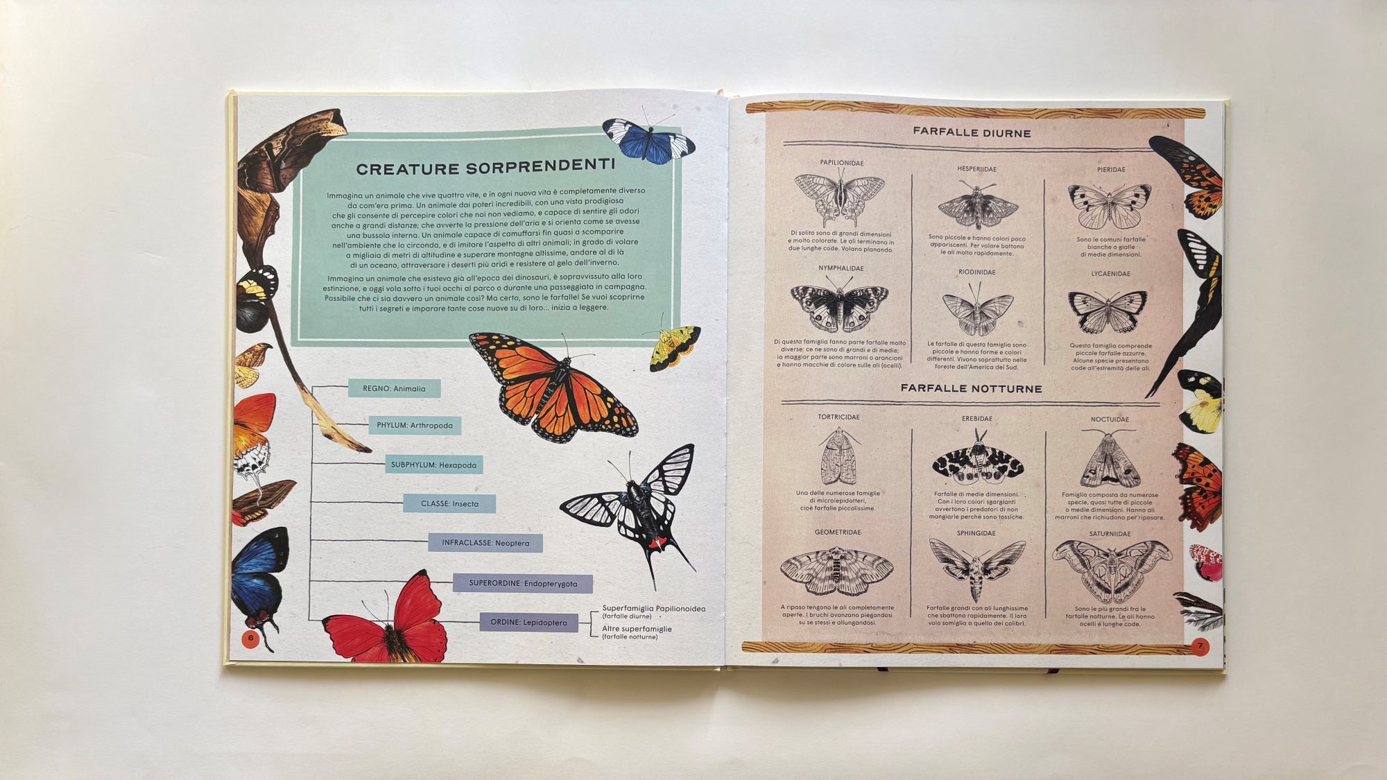 La vita segreta delle farfalle, Roger Vila – Rena Ortega