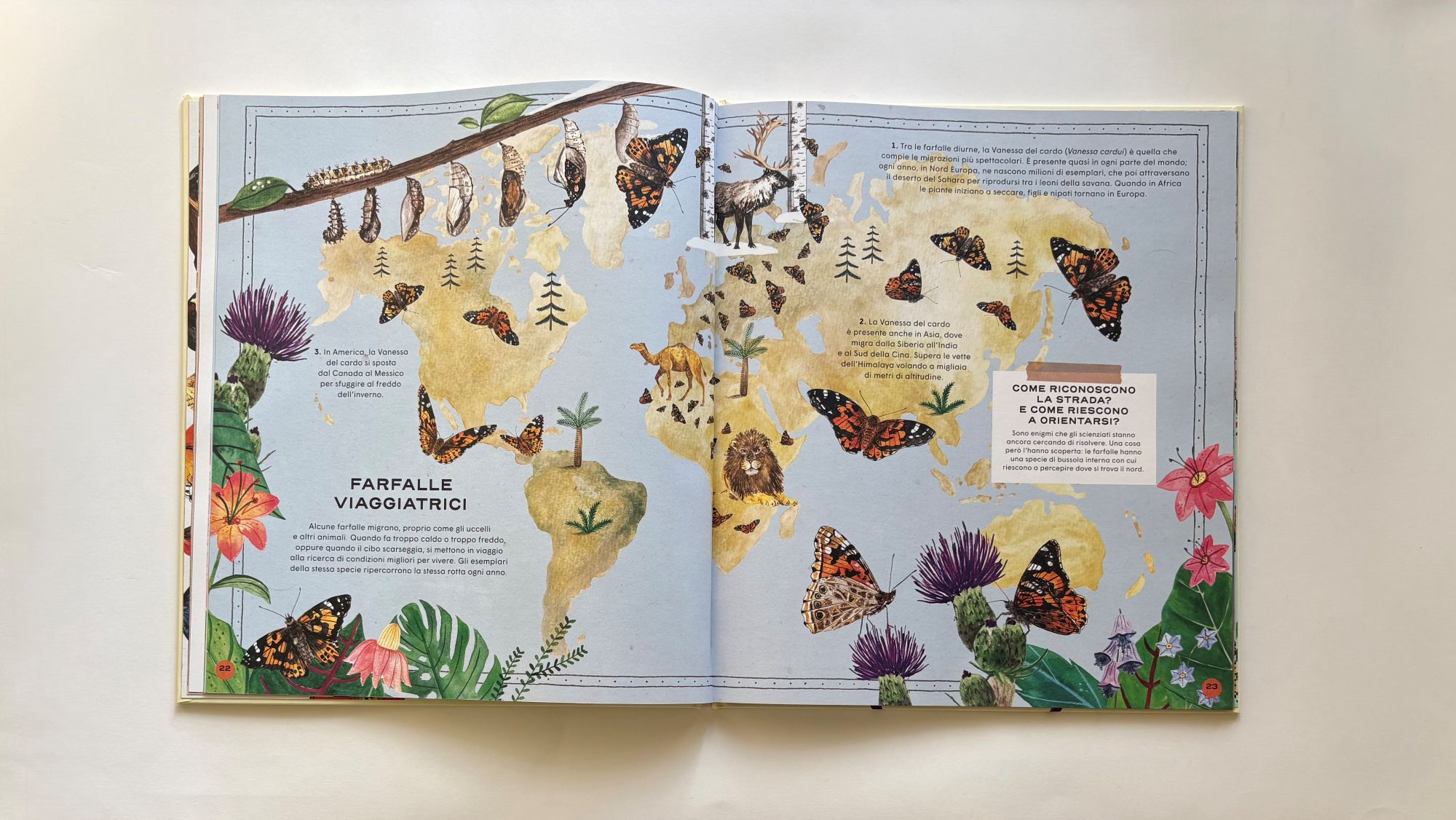 La vita segreta delle farfalle, Roger Vila – Rena Ortega