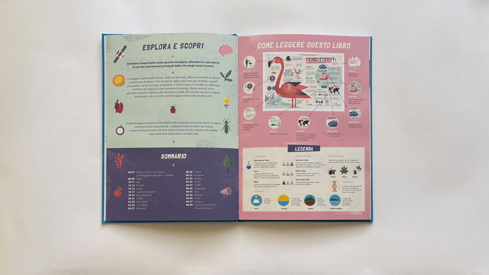 Dormiglioni, O. Pintos – M. Iannuzzi