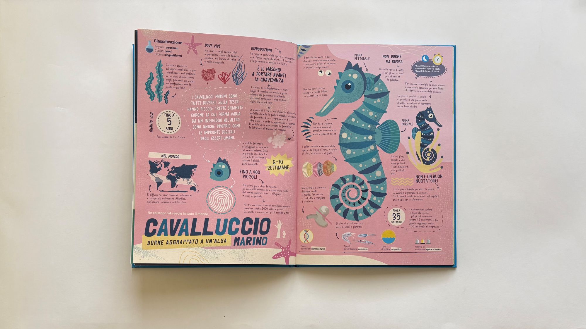 Dormiglioni, O. Pintos – M. Iannuzzi