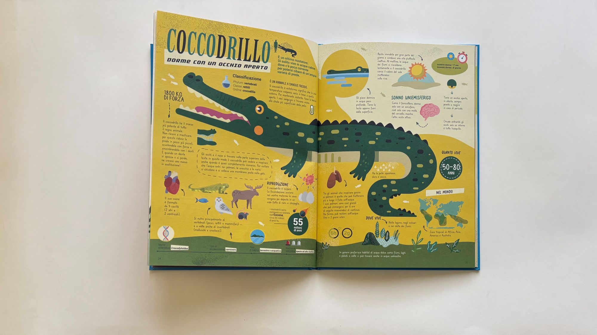 Dormiglioni, O. Pintos – M. Iannuzzi