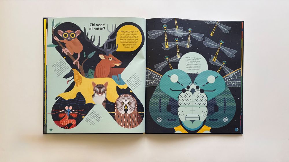 Cala la notte, Lucas Riera – Ángel Svoboda