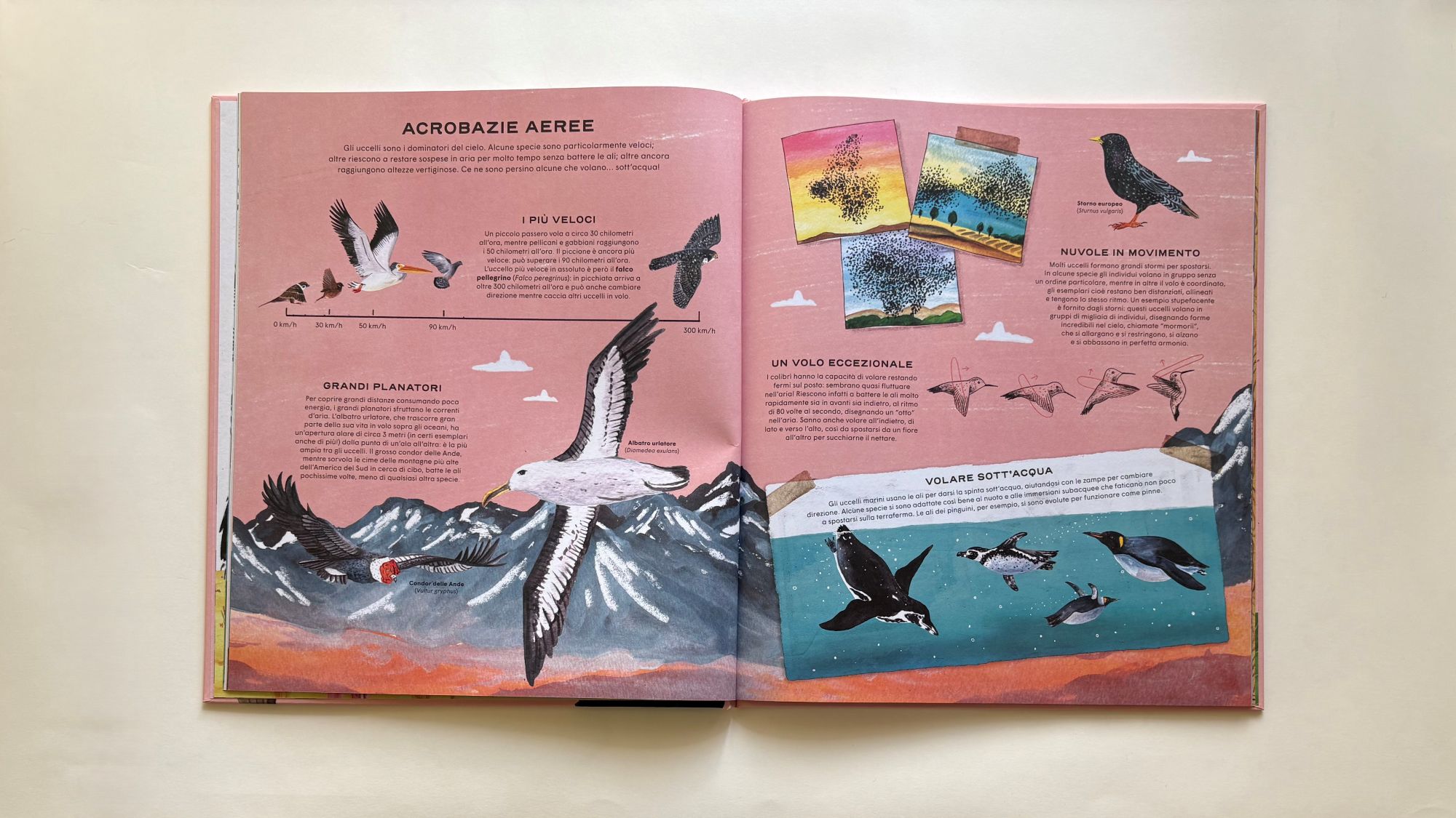 La vita segreta degli uccelli, Diana Escobar – Rena Ortega