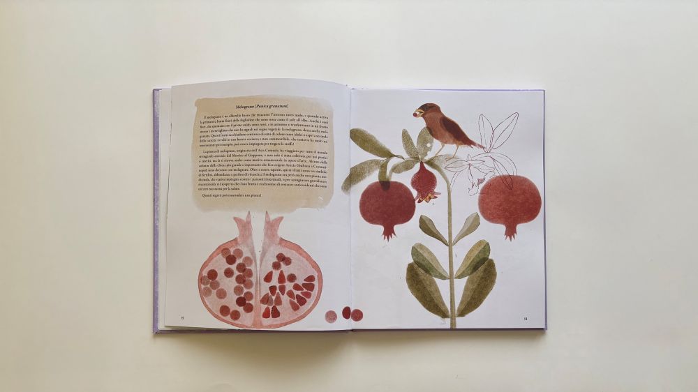 Viriditas. Le donne della botanica, Aina S. Erice – Amanda Mijangos