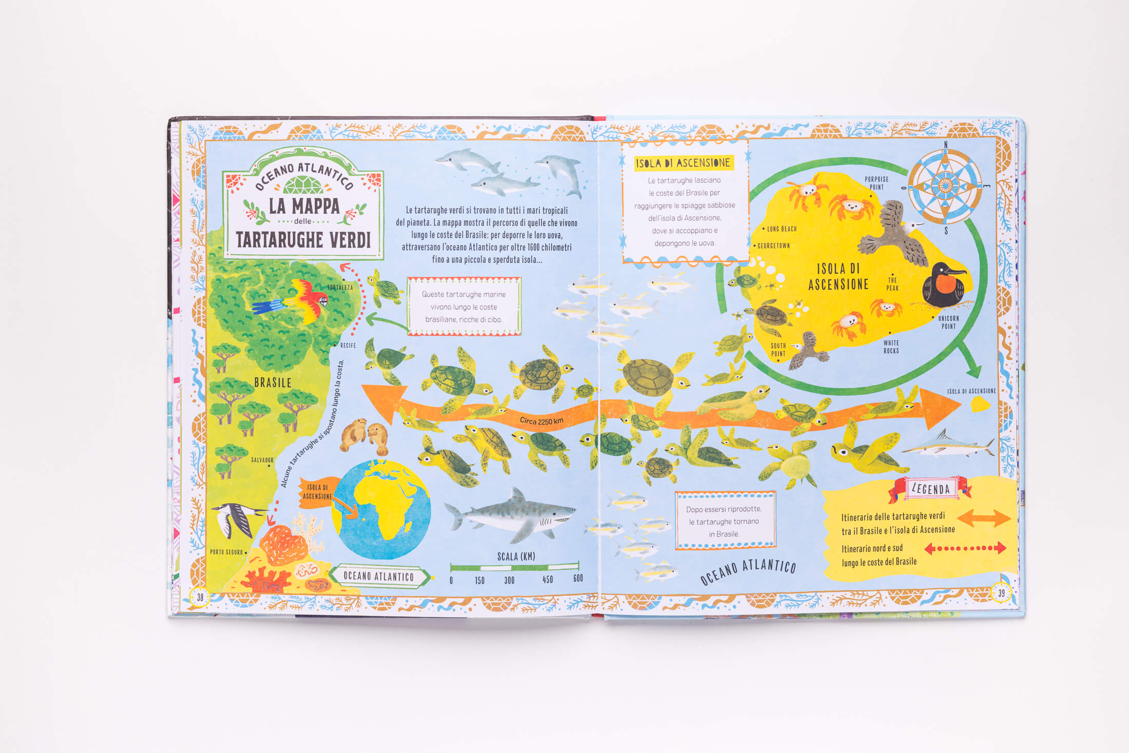 Mappe per i pinguini e per gli altri animali viaggiatori, Tracy Turner, Hui Skipp