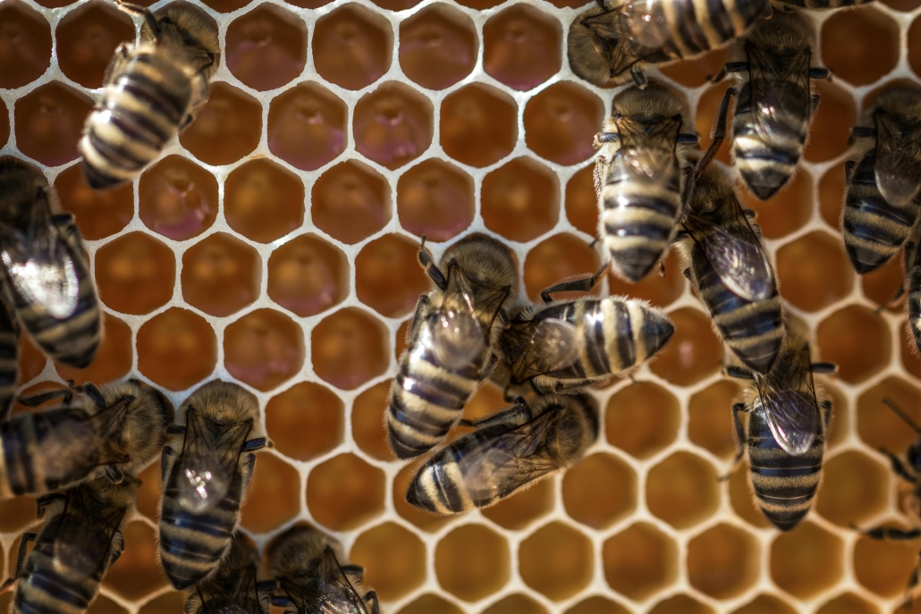 Impresa, salute e intelligenza naturale