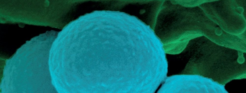 Libro VIAGGIO NEL MONDO INVISIBILE di ANTONELLA FIORAVANTI