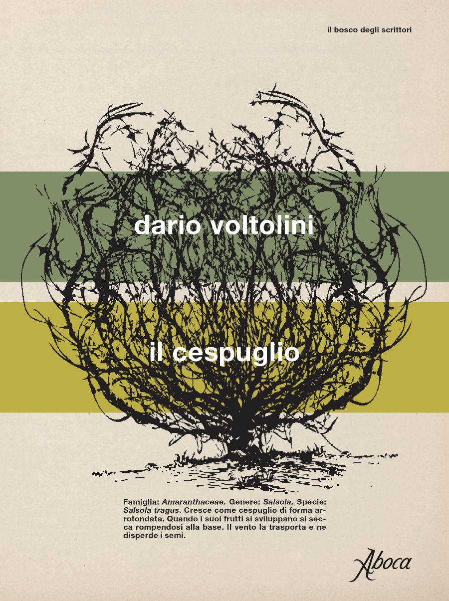 Libro: IL CESPUGLIO di DARIO VOLTOLINI