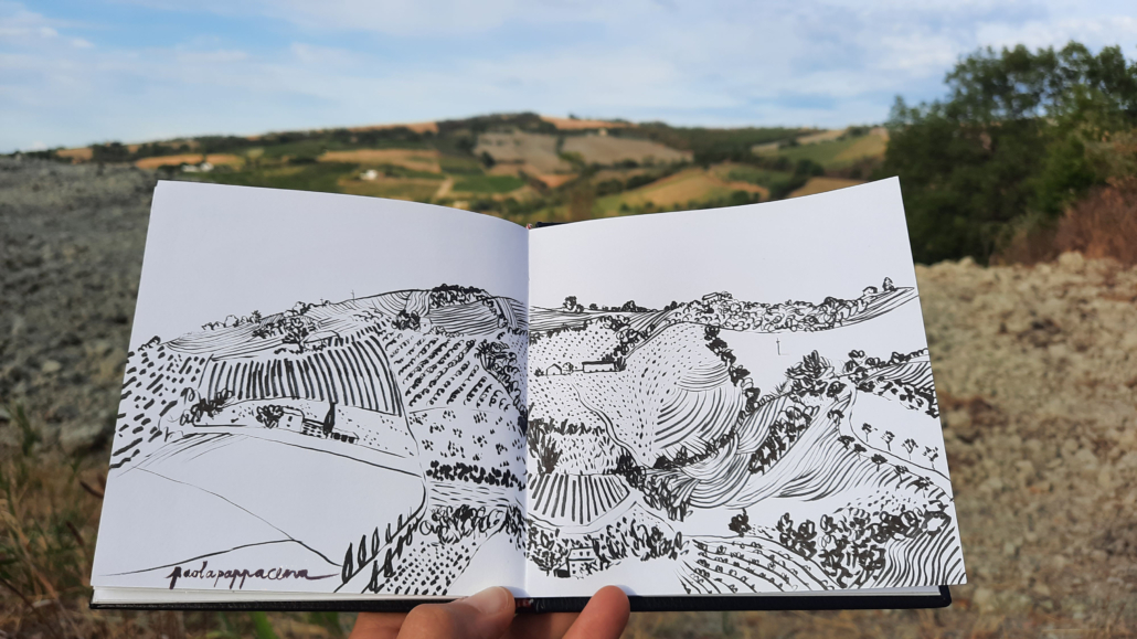 Collina copia
