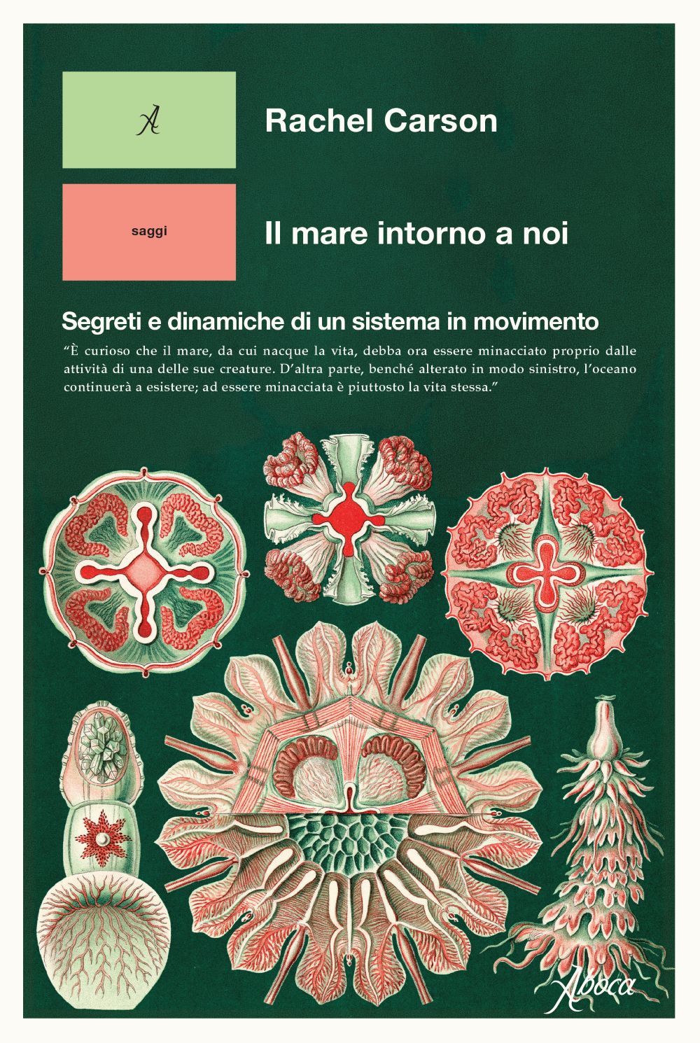 Il mare intorno a noi